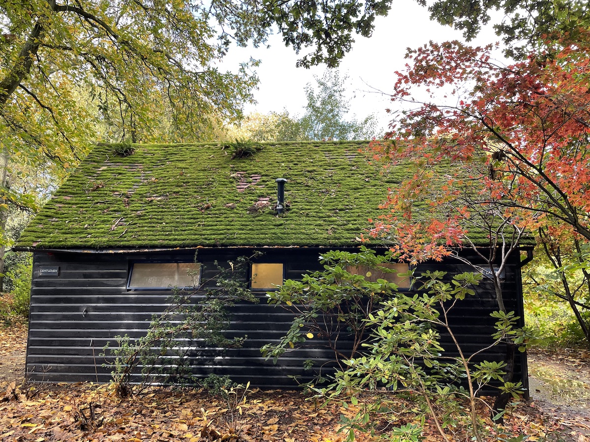 Image shows a public restroom with roof covered in green moss. The restroom is surrounded by trees and fall foliage - Picture taken by me.