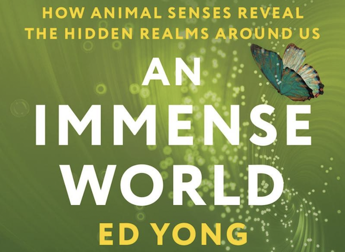 Image shows part of book cover of An Immense World - 